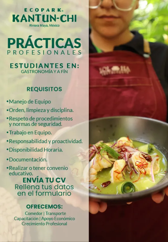 Internship Offer Cover