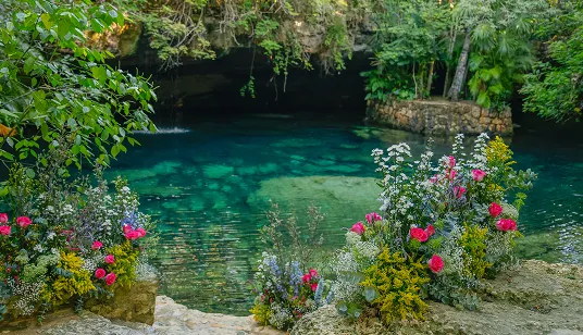 Imagen de la experiencia en Kantun Chi