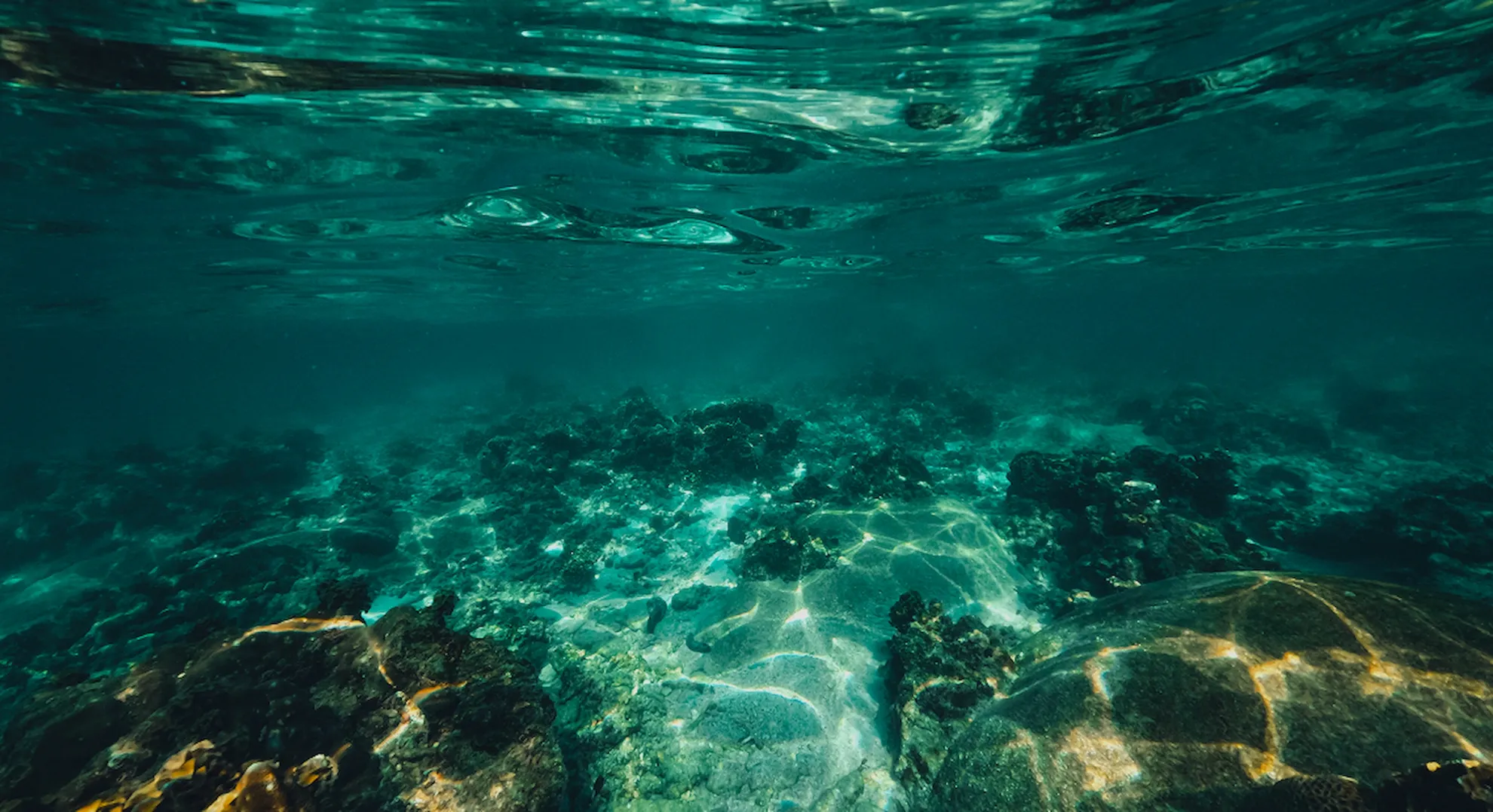 Fondo de un cenote de Kantun Chi