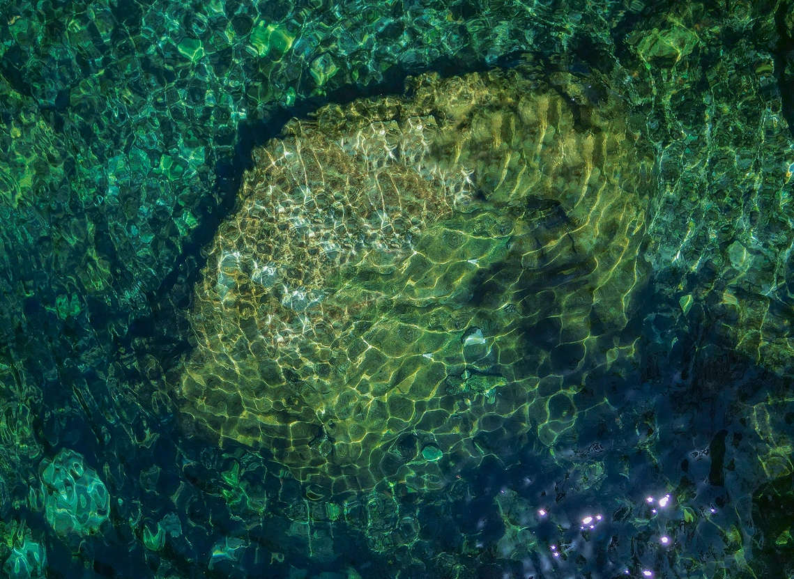 Experiencia en cenote cristalino en ecoparque de la Riviera Maya